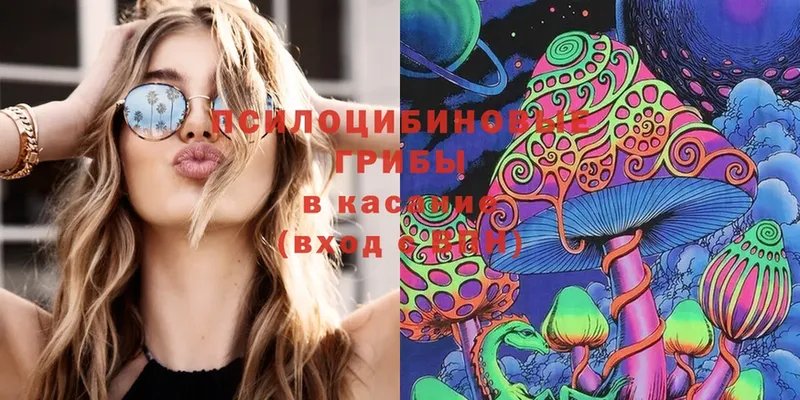 кракен зеркало  Шахты  Псилоцибиновые грибы MAGIC MUSHROOMS  купить наркоту 